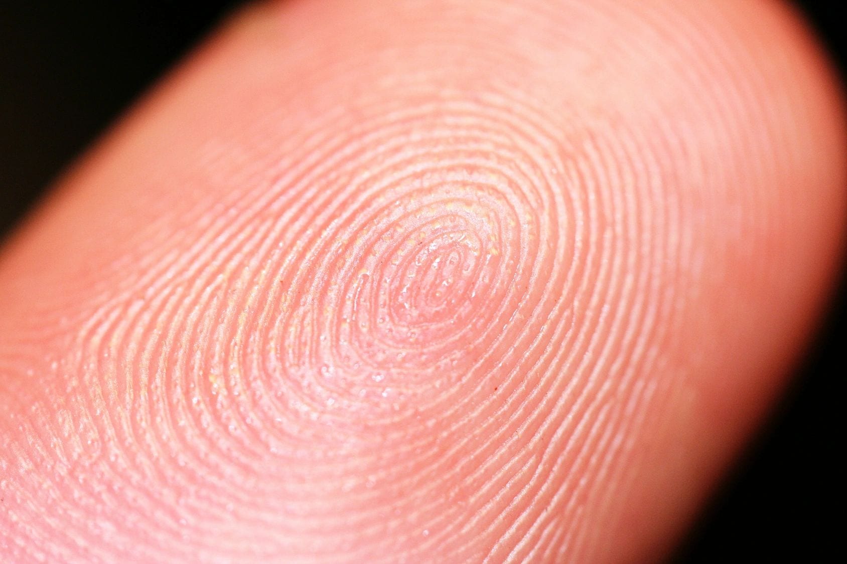 LiveScan 2 Go A close up of the finger print on someone 's hand.